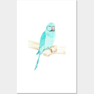 Blue rose-ringed parakeet watercolor portrait Posters and Art